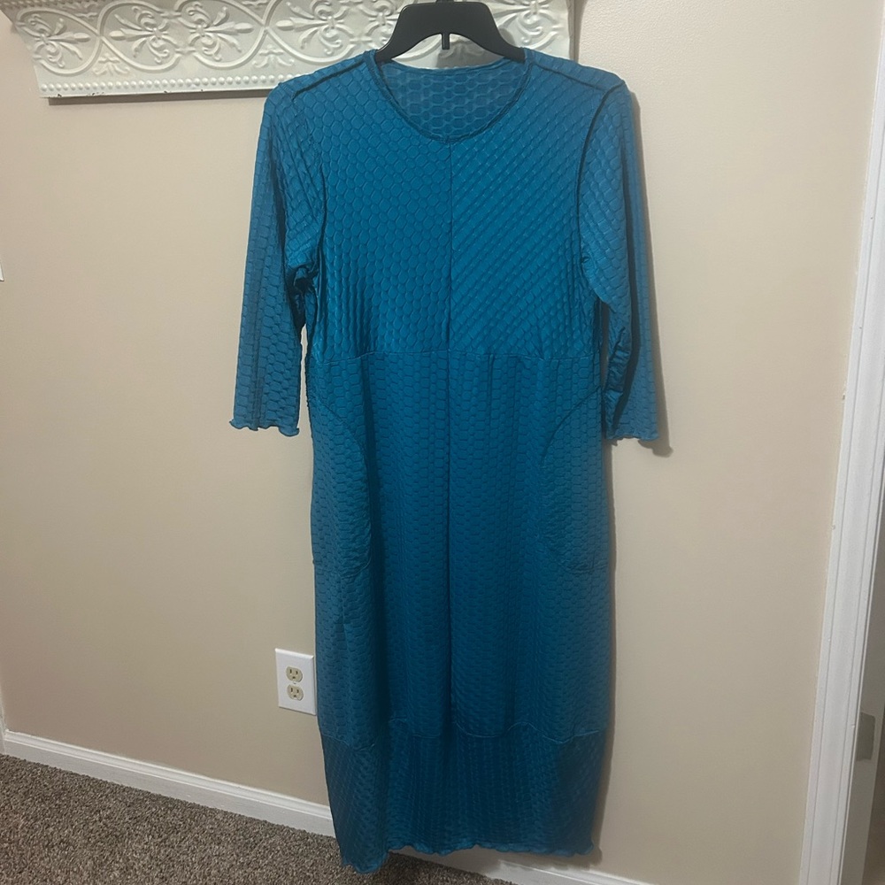 Zadie bs Hailey dress